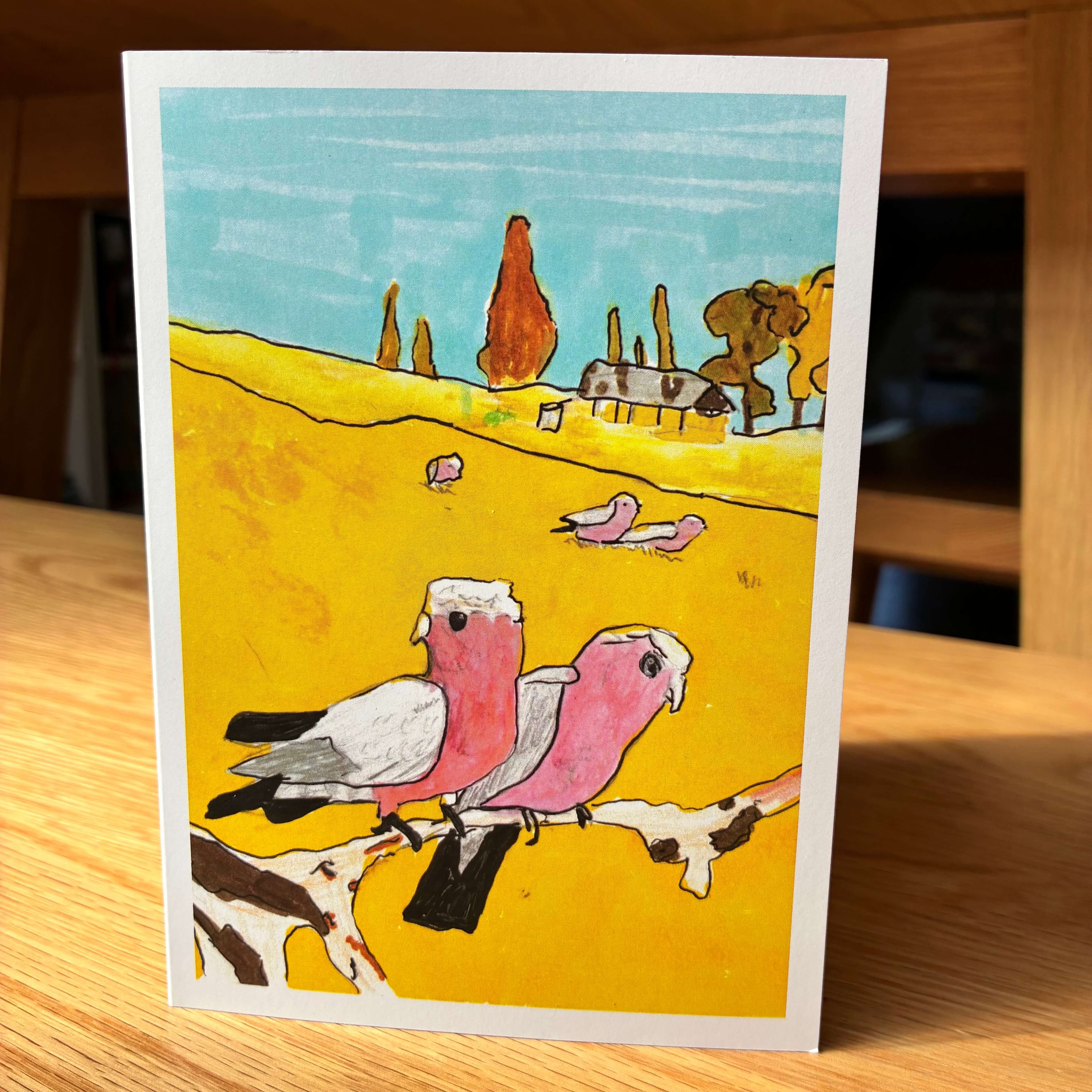 Galahs, image 1 of 3