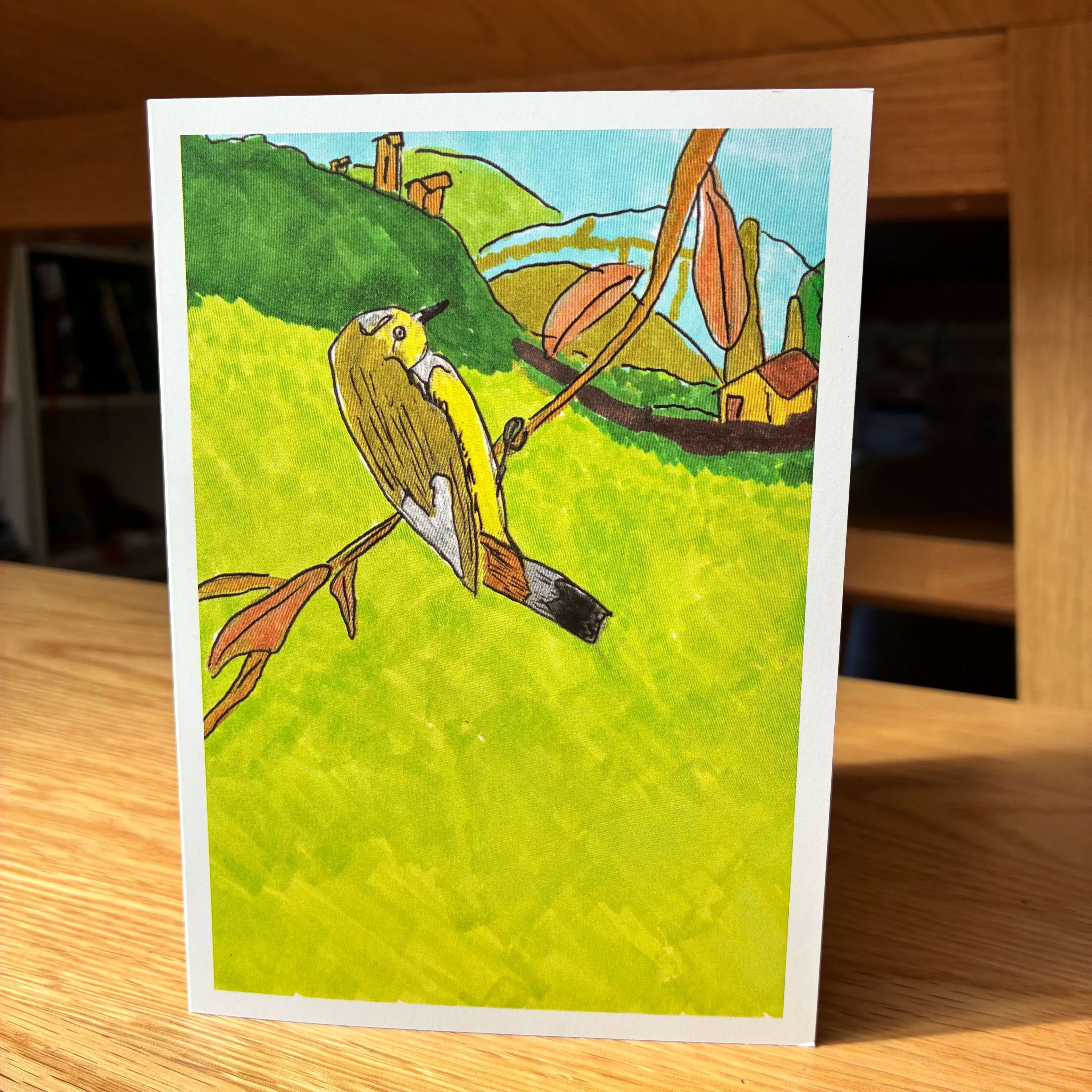 Mountain Thornbill, image 1 of 3