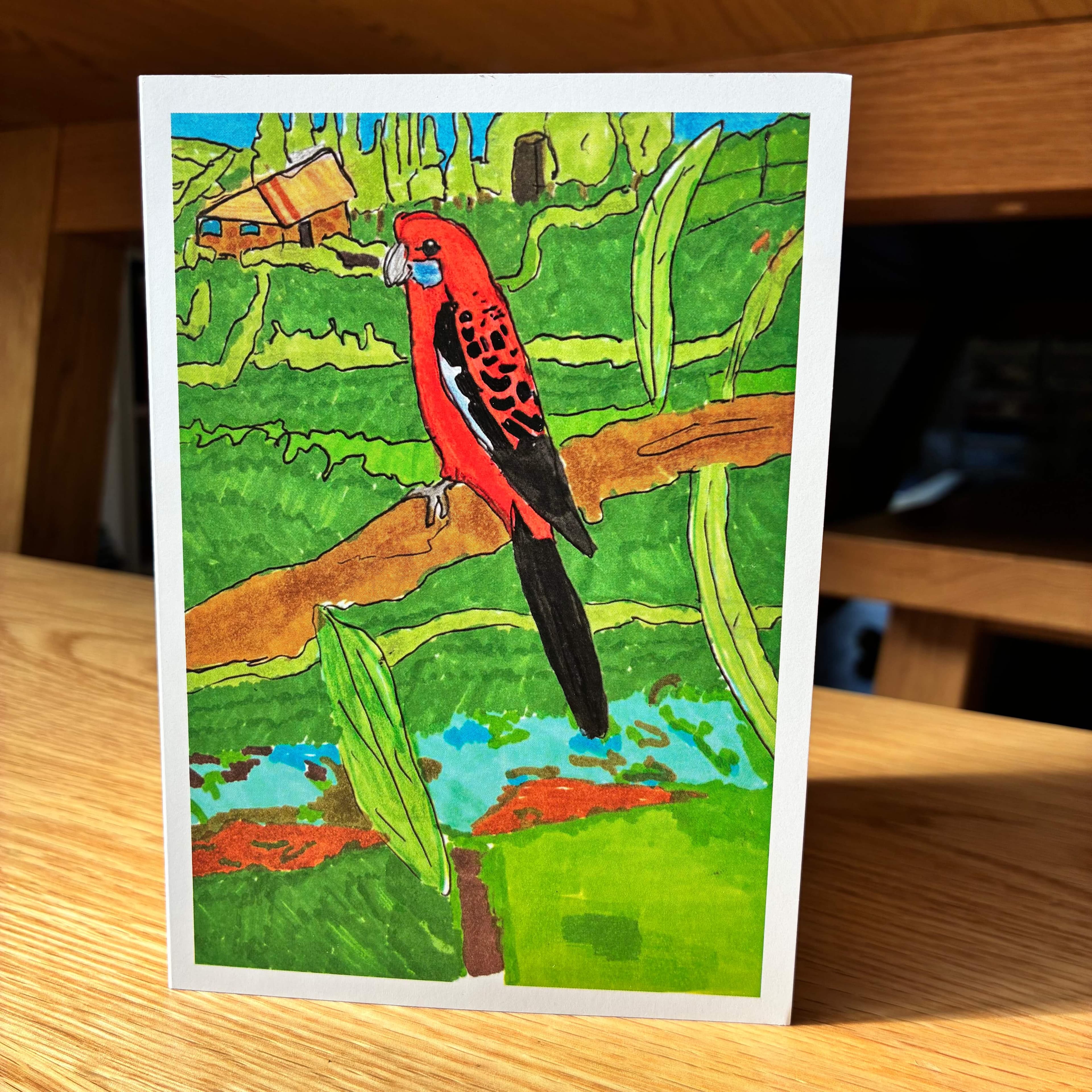 Crimson Rosella, image 1 of 2